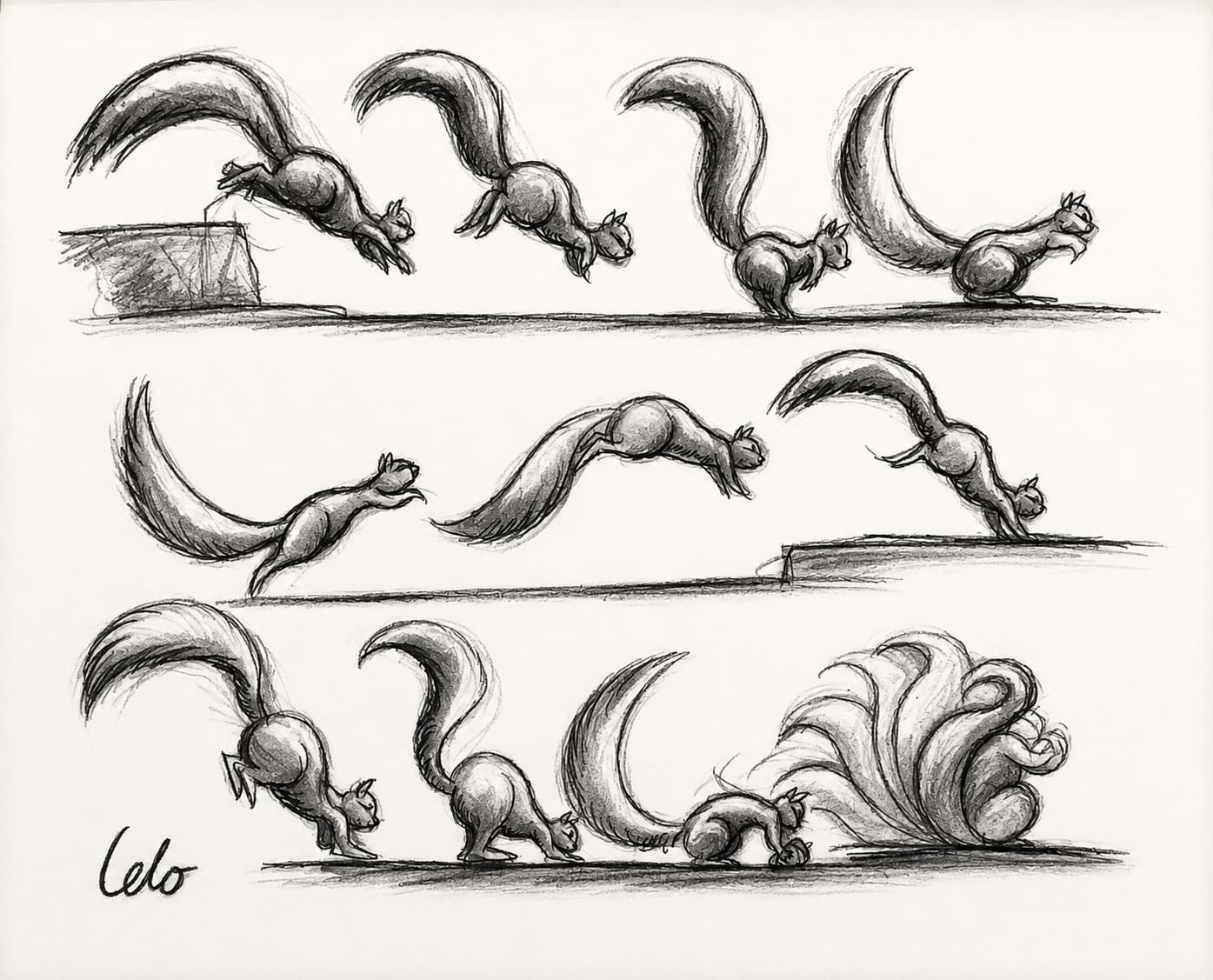 A sheet of pencil studies of a squirrel in different poses