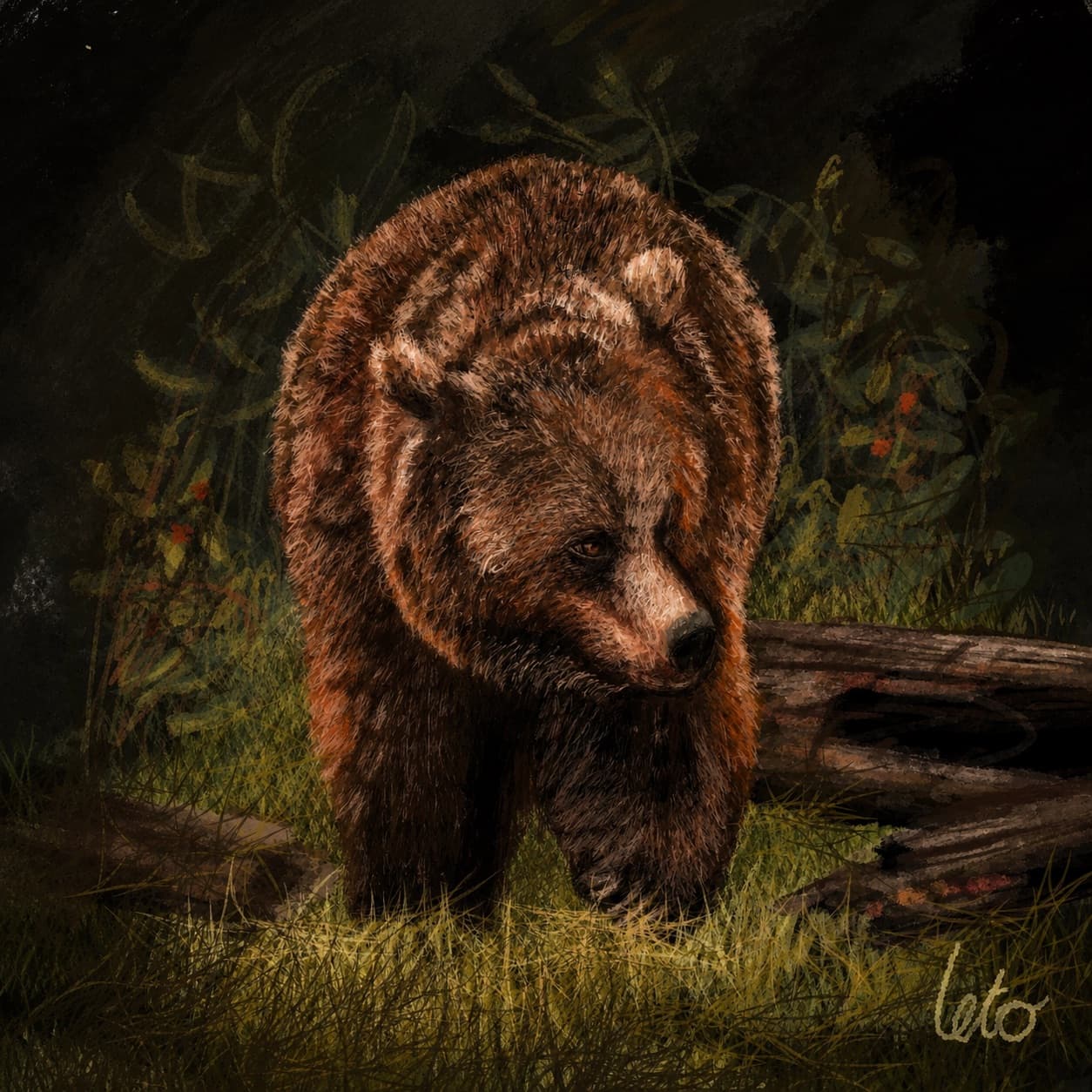 A digital painting of a brown bear stepping out of dark undergrowth