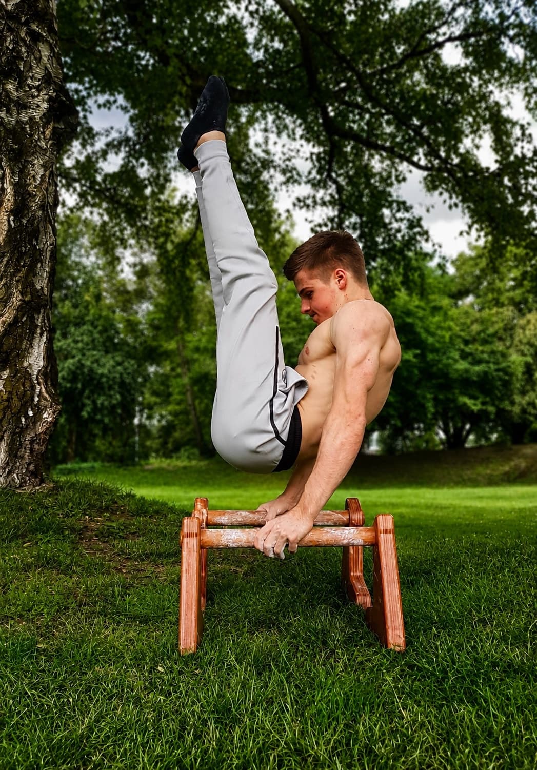 Holding an L-sit on the finished parallettes on grass under a tree
