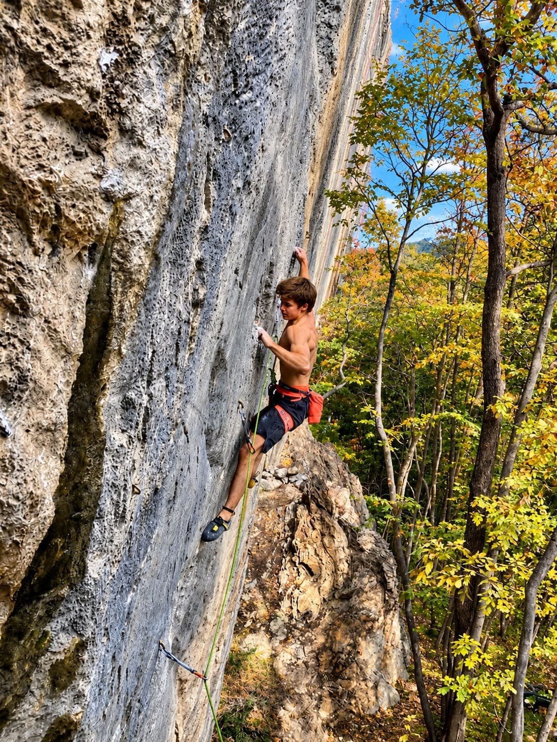 Lead climbing a vertical grey limestone wall in Arco, autumn foliage in the sun behind