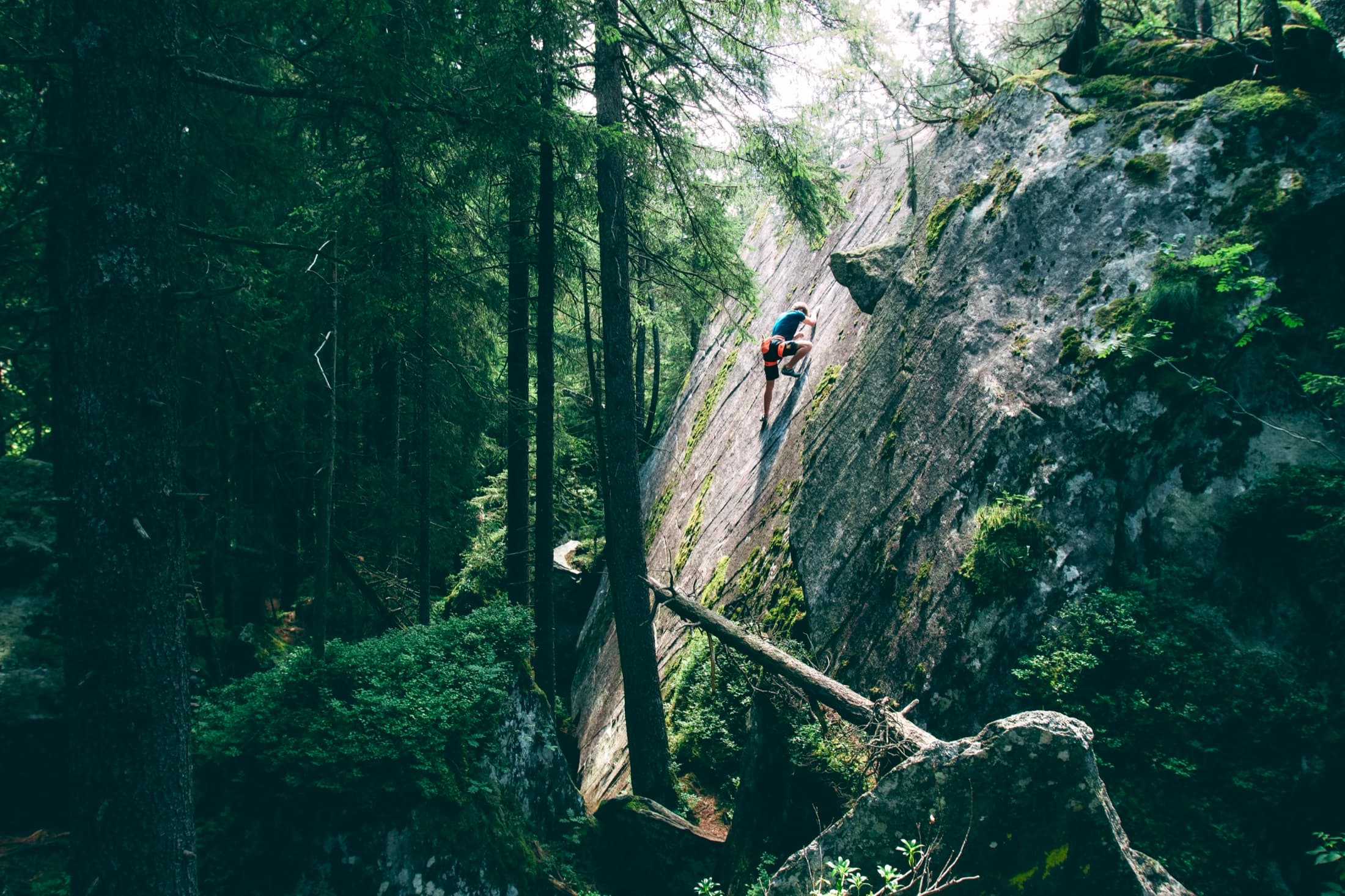 Bouldering a tall forest boulder