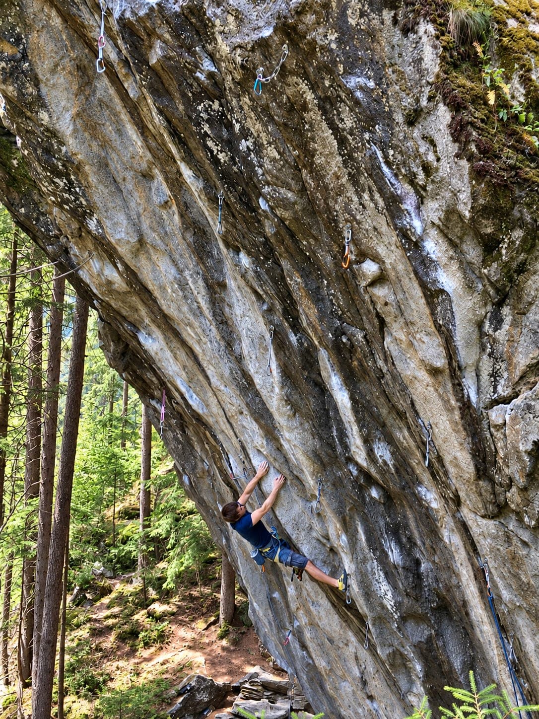 Lead climbing a steep, streaked limestone wall in the Zillertal, spruce forest dropping away below